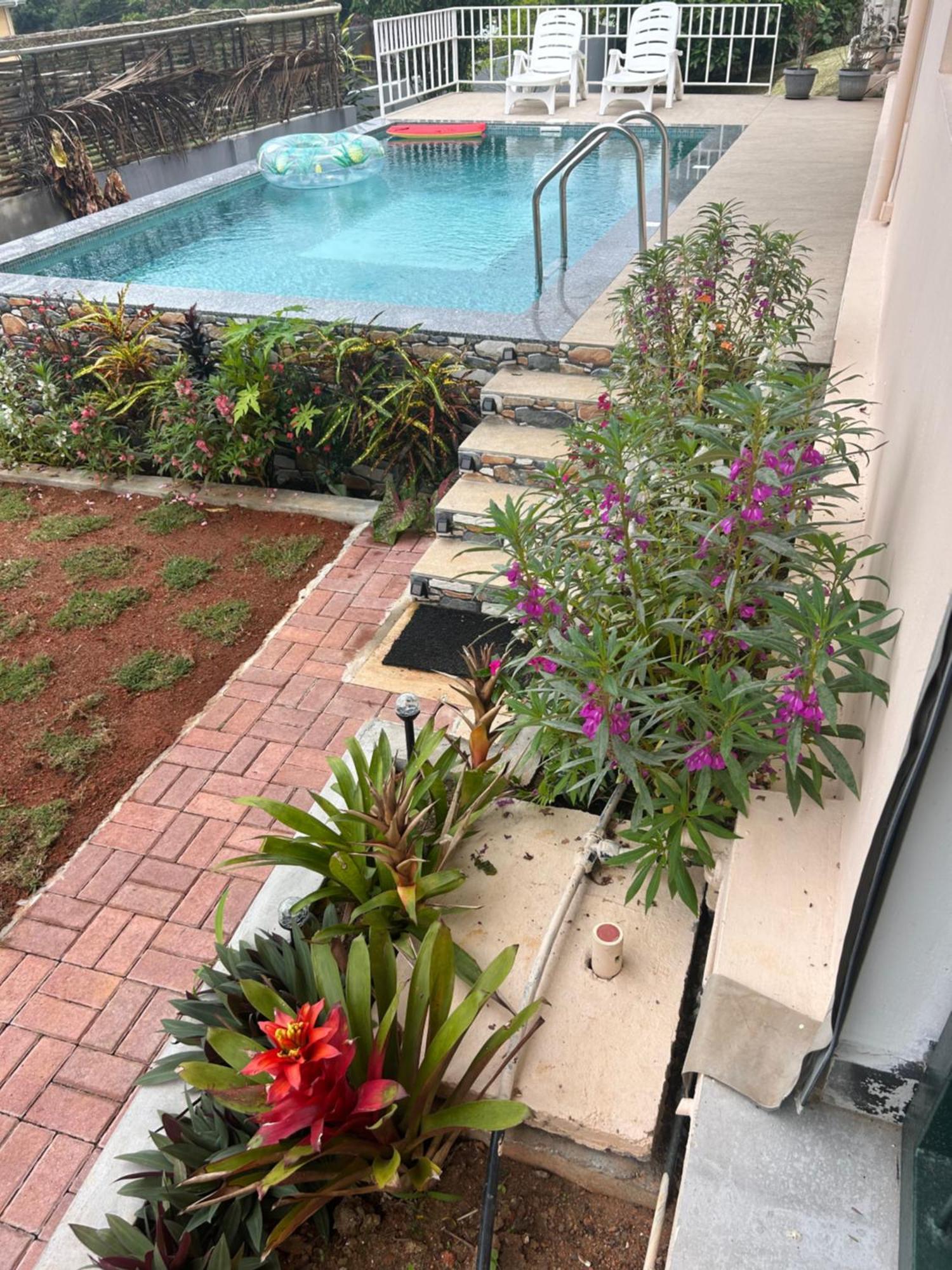 The Olive Tree Apartment Misere Luaran gambar